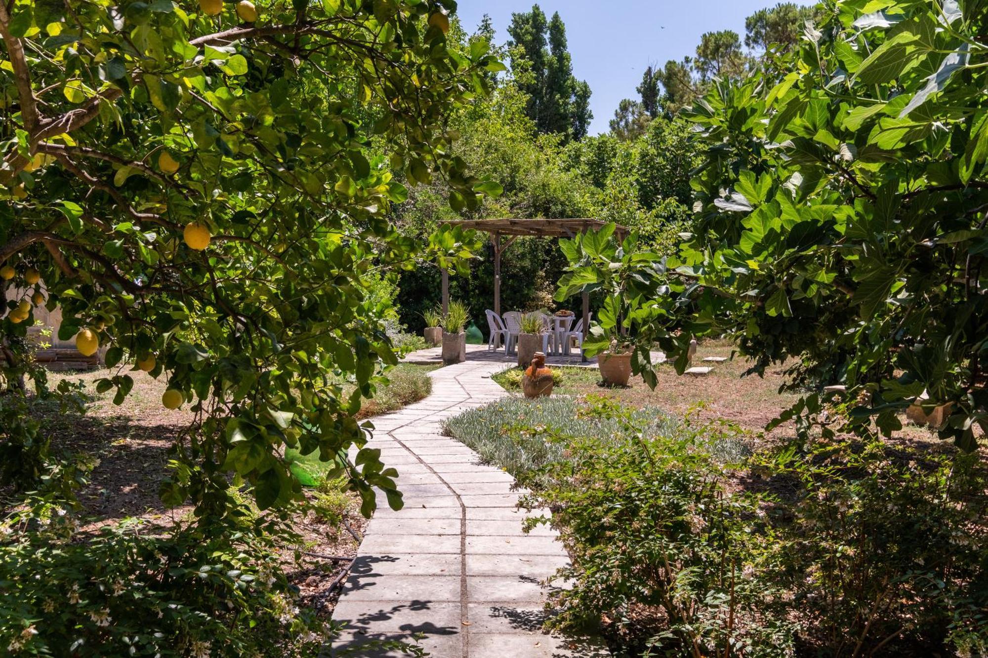Villa La Dimora Elia' Muro Leccese Exterior foto